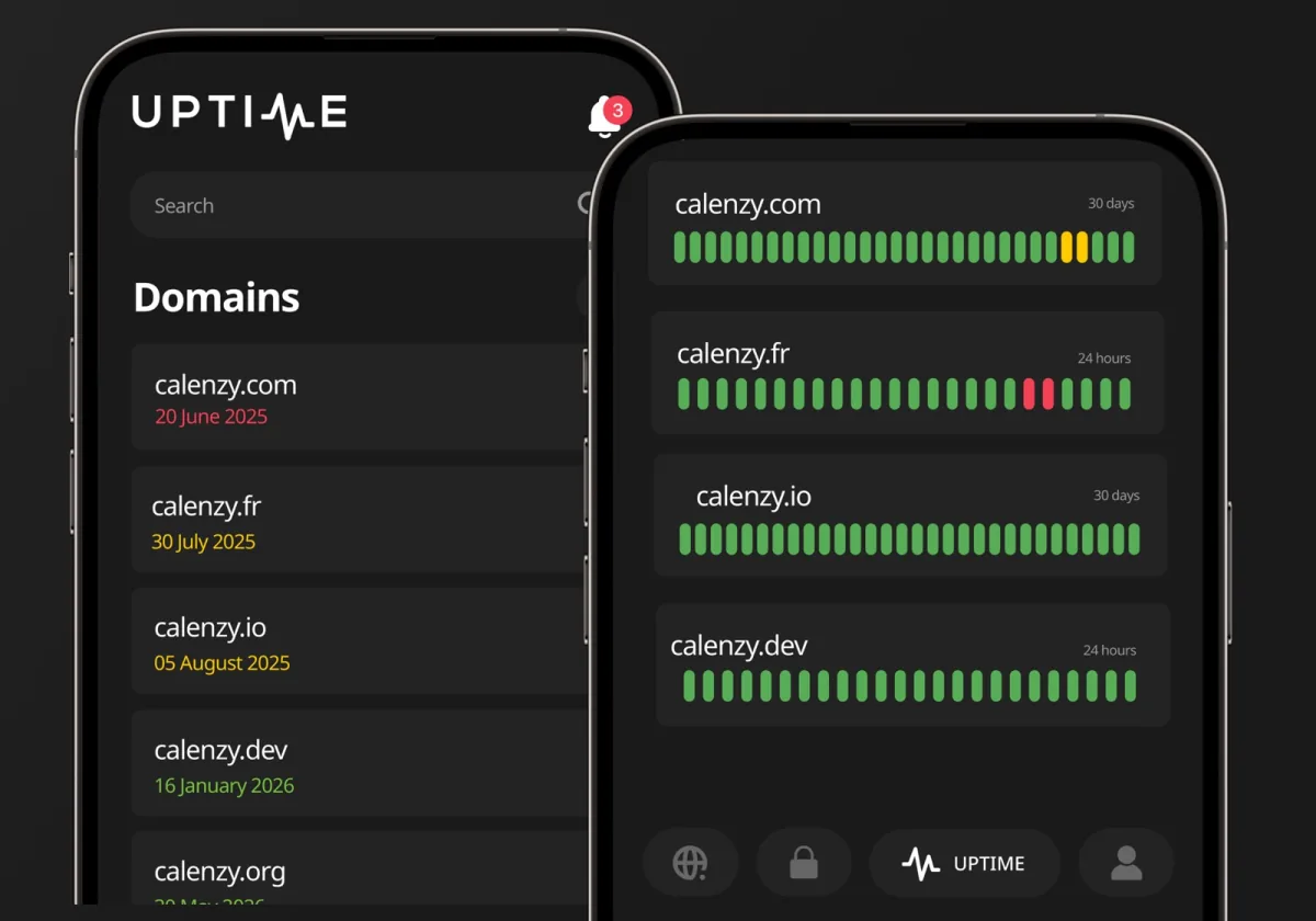 Domaines, SSL et Uptime